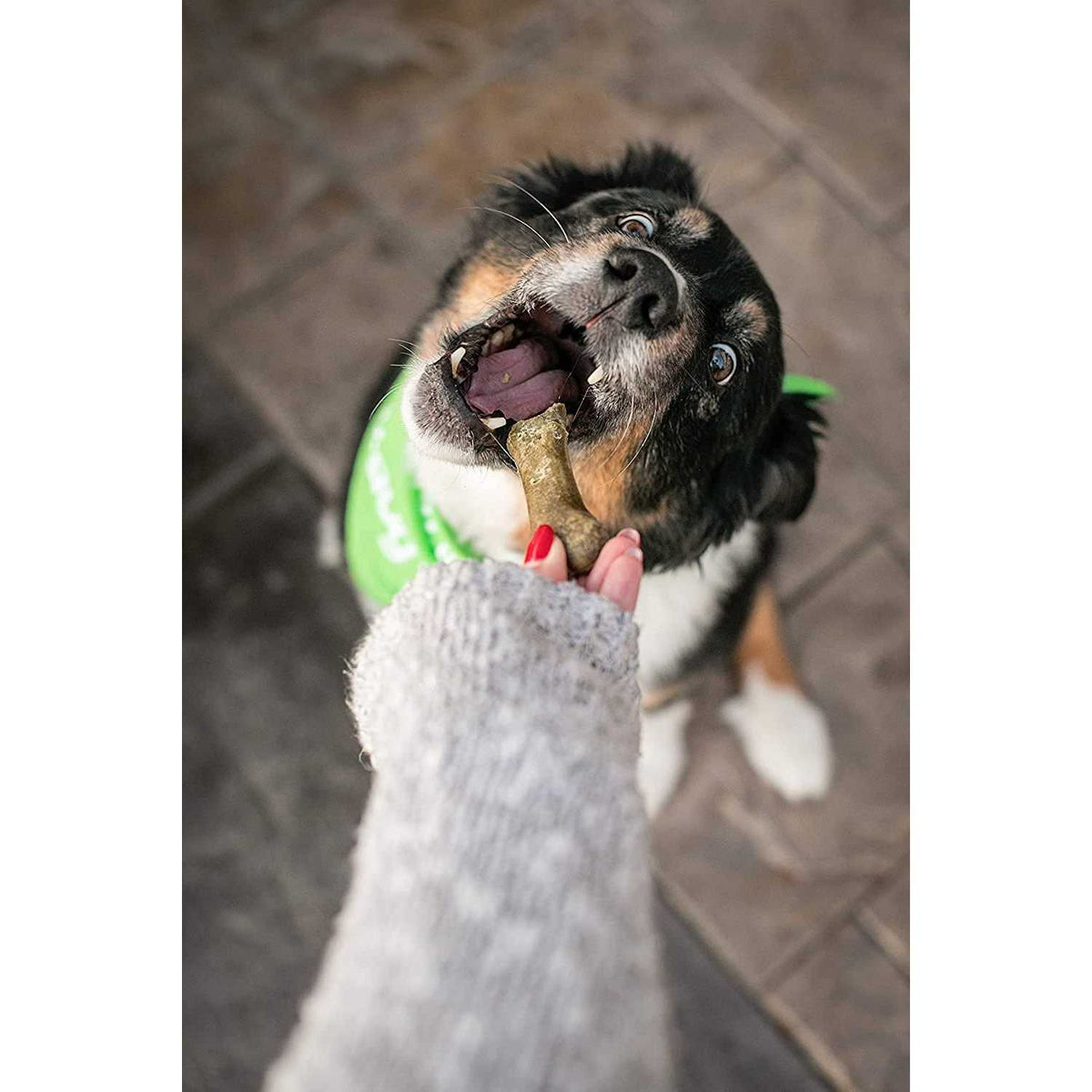 Vegan Dog Treats N756688
