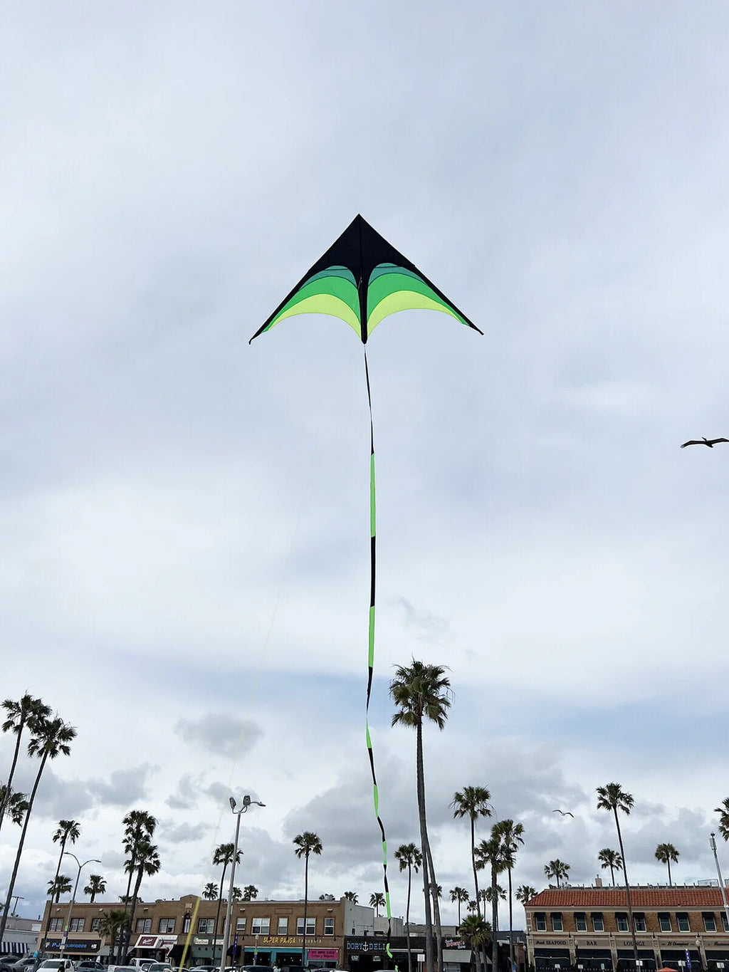 Giant Kite with Tail and String O820871