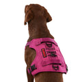 Double Handle Dog Harness P73721