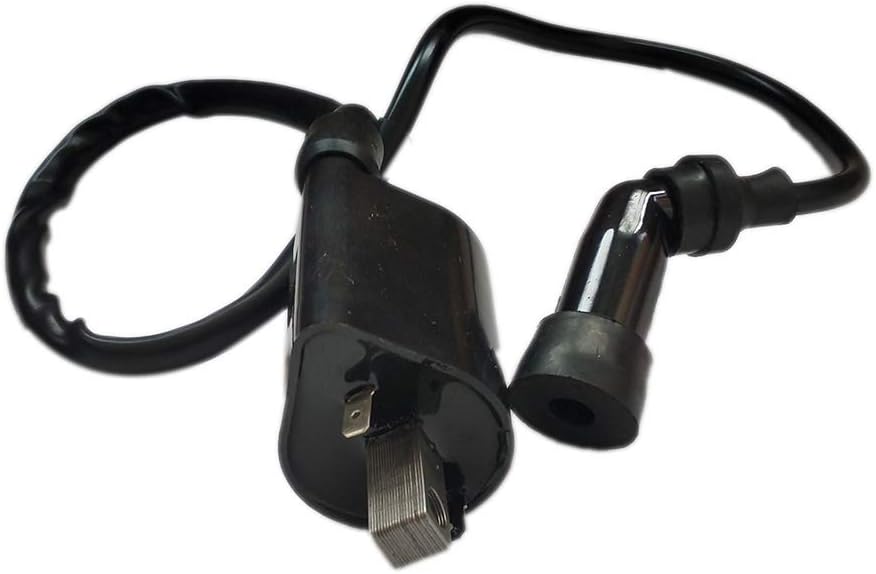 2 Pack Ignition Coils Assembly for Yamaha XVS1100 V-STAR T114