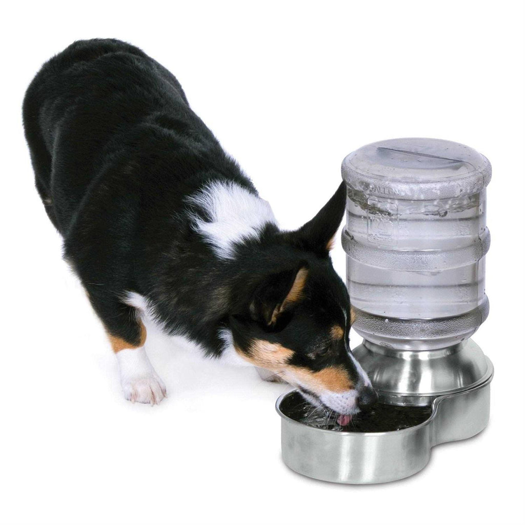 Stainless Steel Waterer K684553