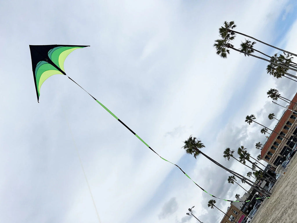 Giant Kite with Tail and String O820871