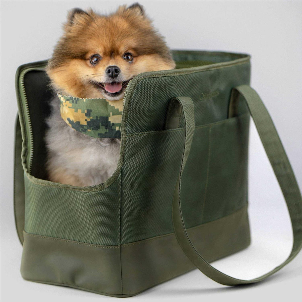 Pet Tote Bag for Small Dogs and Cats G806