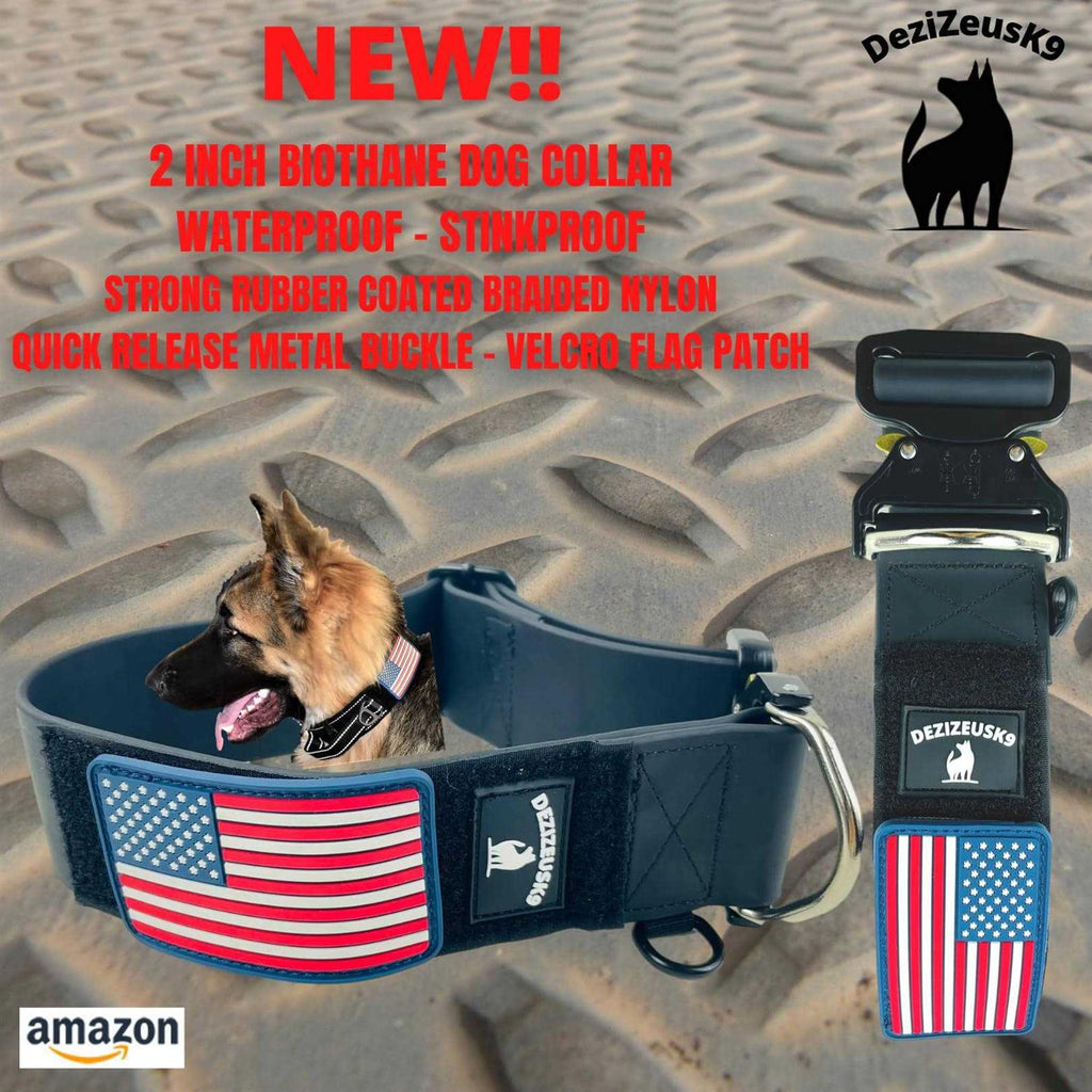 Heavy Duty Dog Leash Quick Release Locking Carabiner S828207
