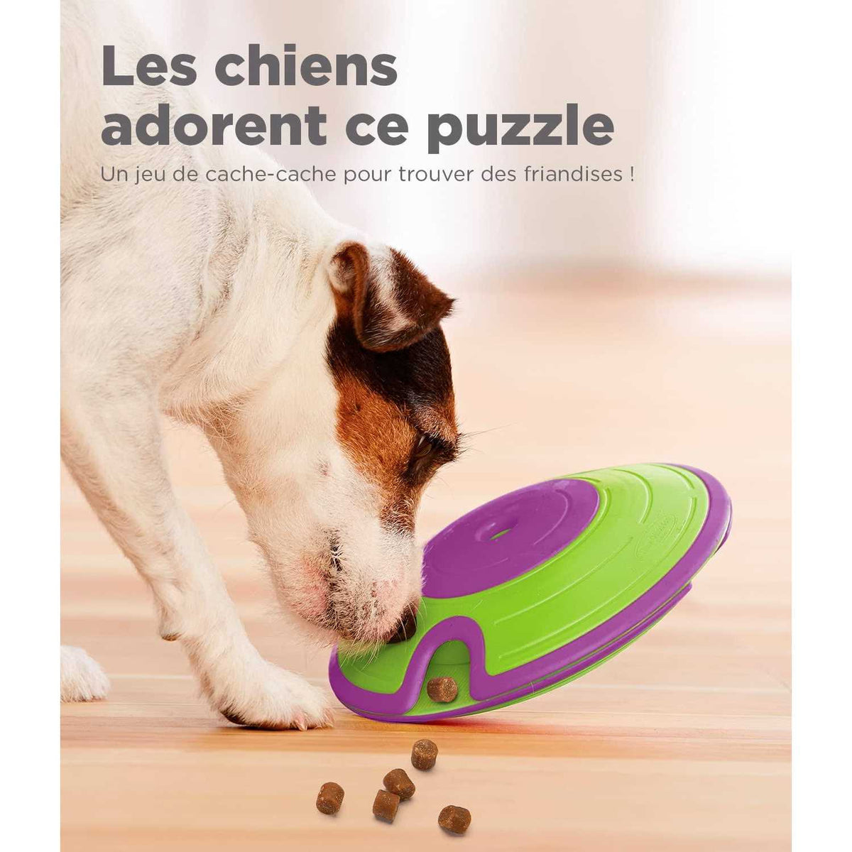Treat Maze Puzzle Dog Toy X814