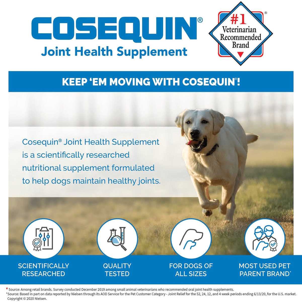 Soft Chews with MSM Plus Omega-3s for Dogs X8130