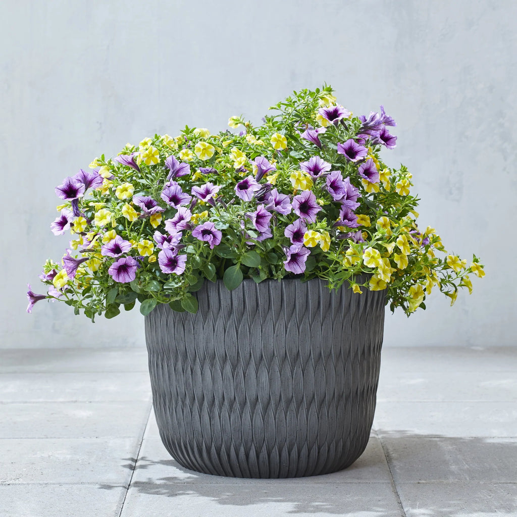 Black Resin Planter H53317