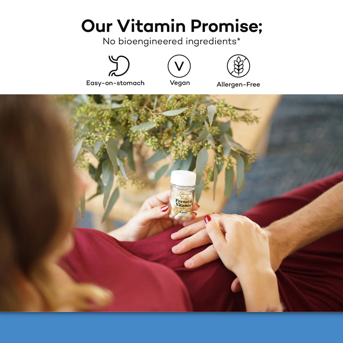 Prenatal Vitamins 28 Capsules N713