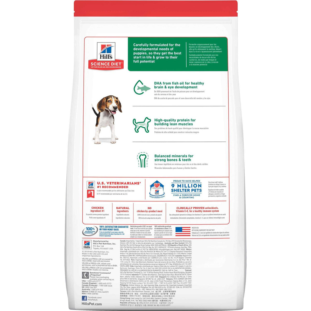 Chicken Dry Dog Food G2486