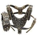 Leather Spiked Studded Dog Collars Harnesses Matching Set T8515